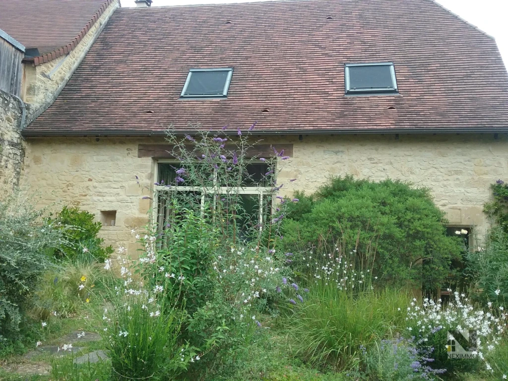 n°1