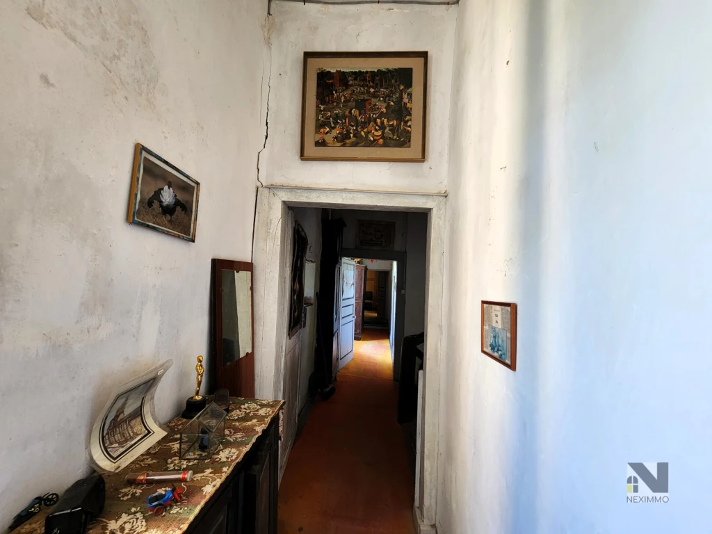 n°6