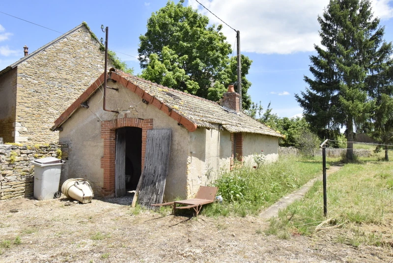 n°6