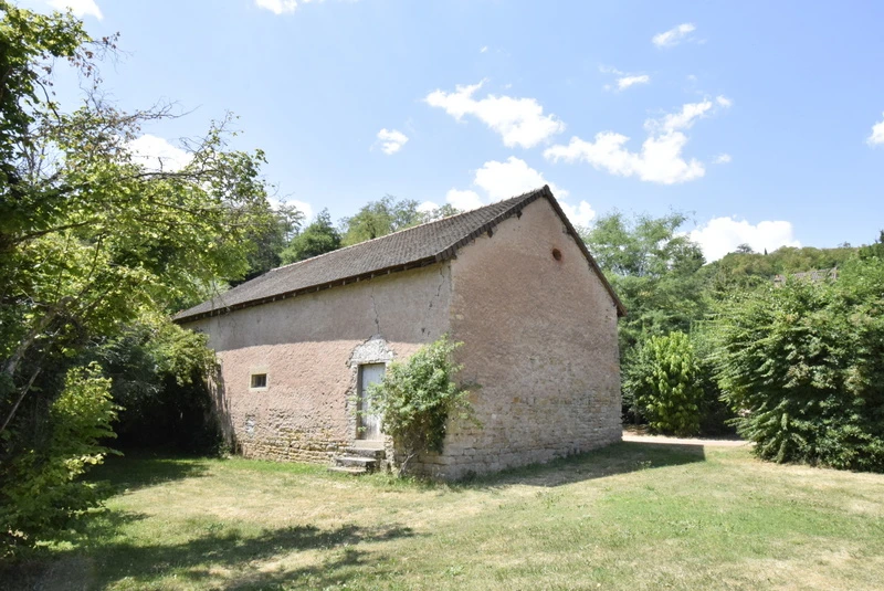 n°11
