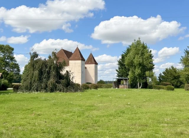 n°12