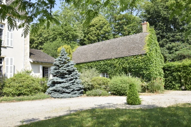 n°11