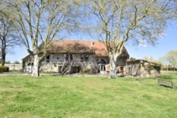n°2
