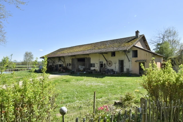 n°9