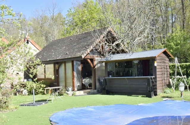 n°11