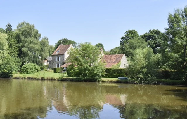 n°4