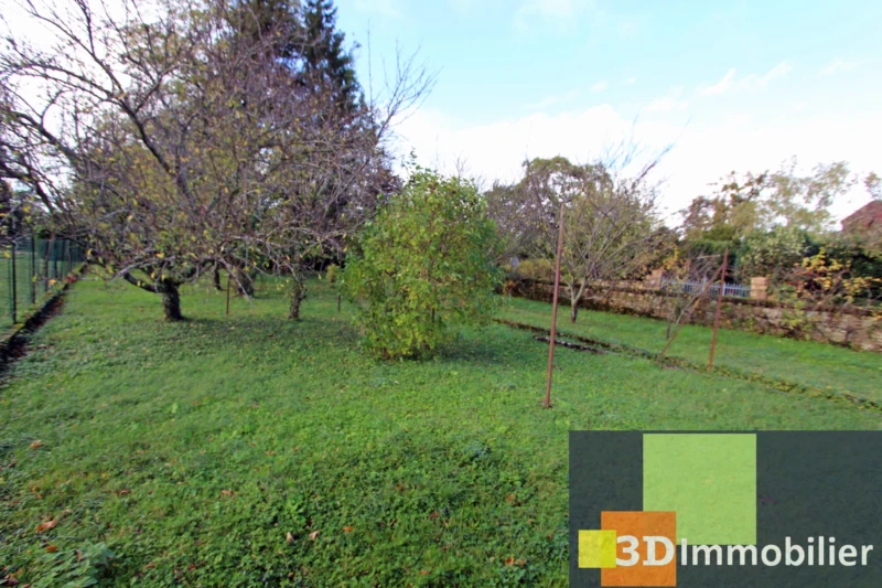 TERRAIN ARBORE DE 983 m²