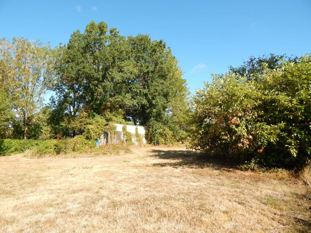 TERRAIN