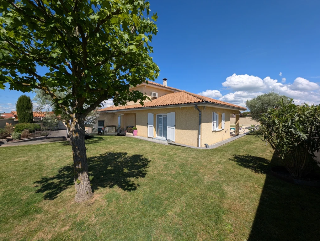 n°5