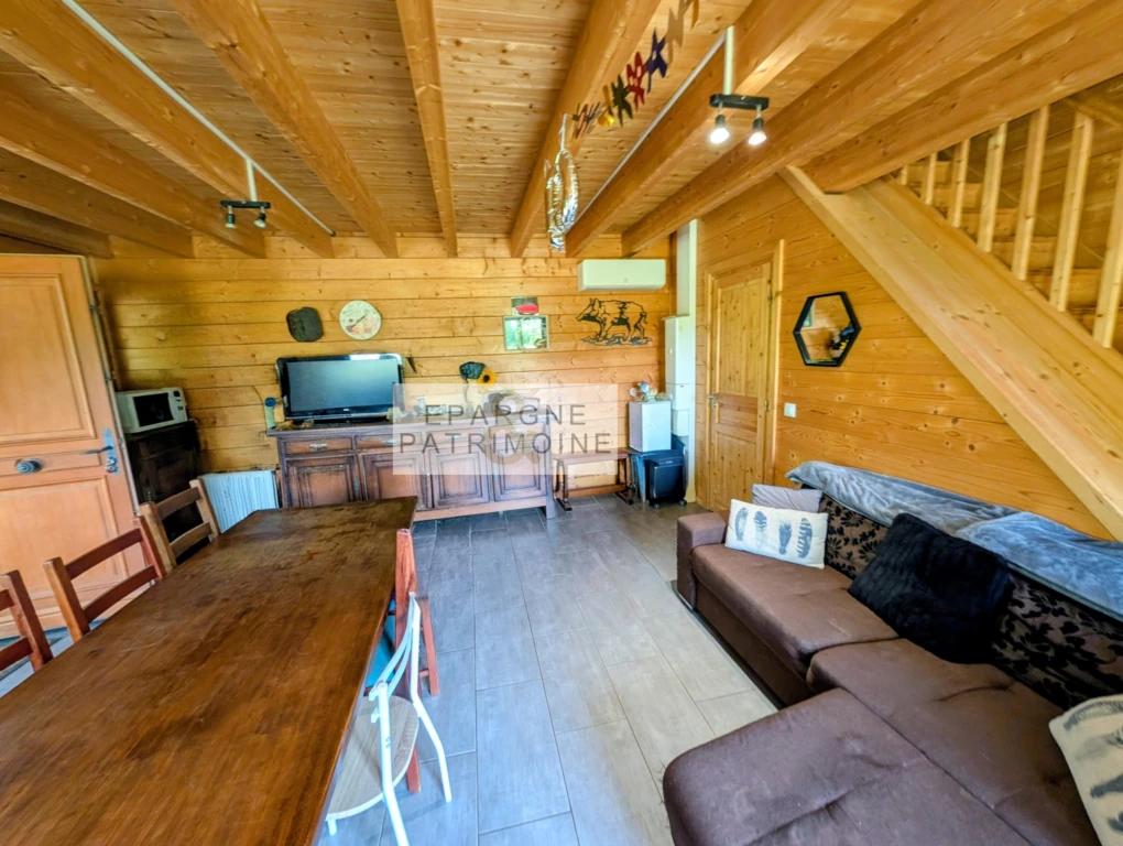 n°6