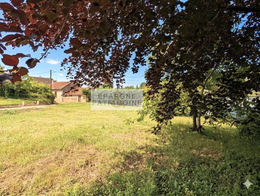 n°4