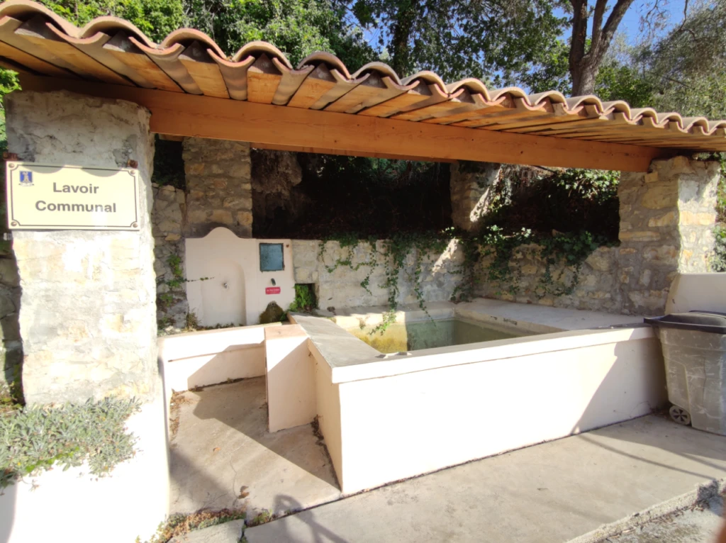 Photo 15