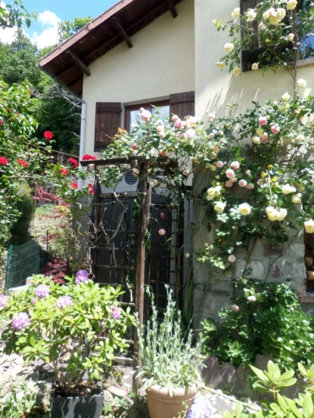 Photo 11