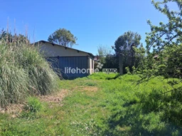 Vue réelle de la remise à aménager