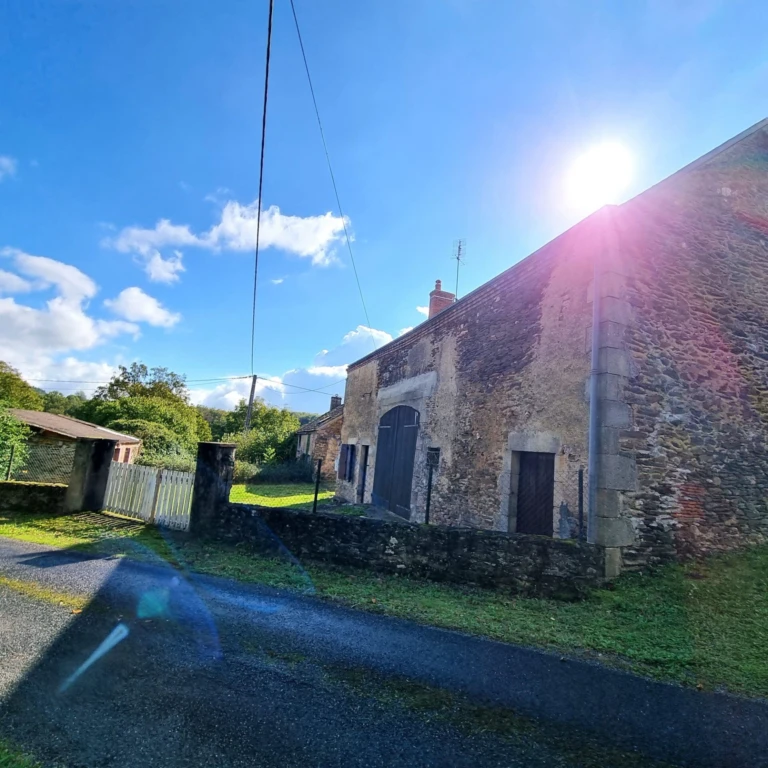 Photo 19