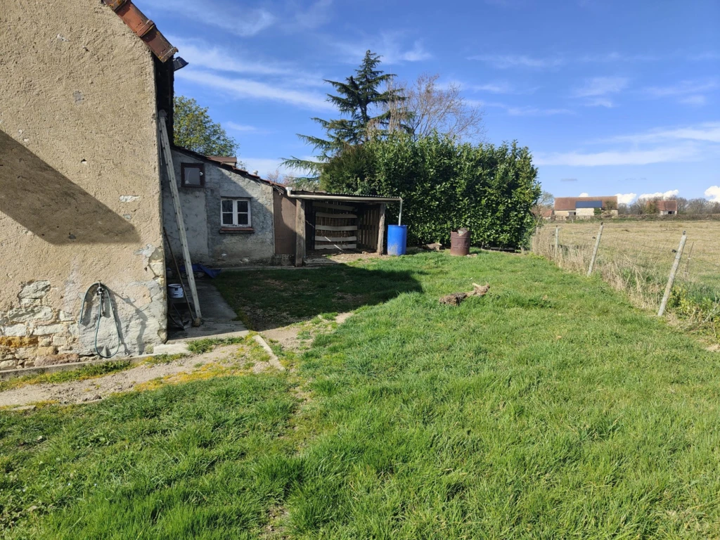 Photo 15