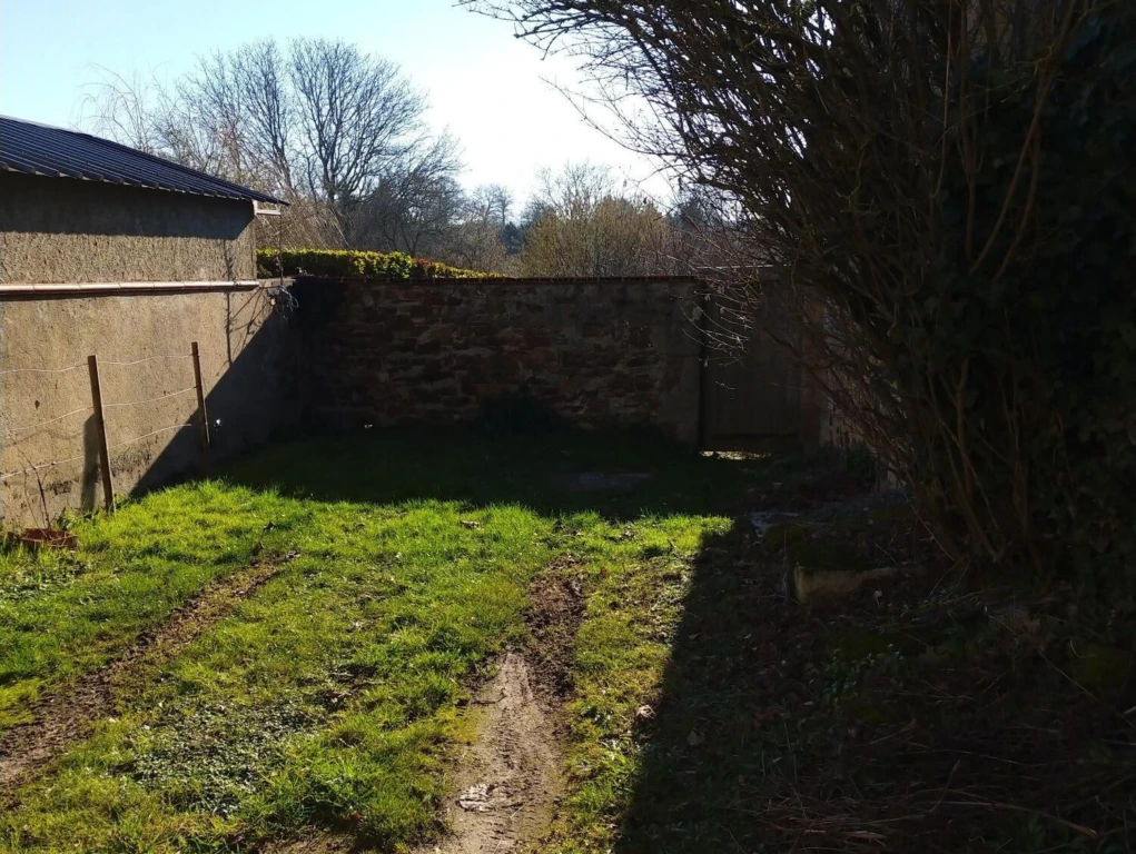 Photo 19