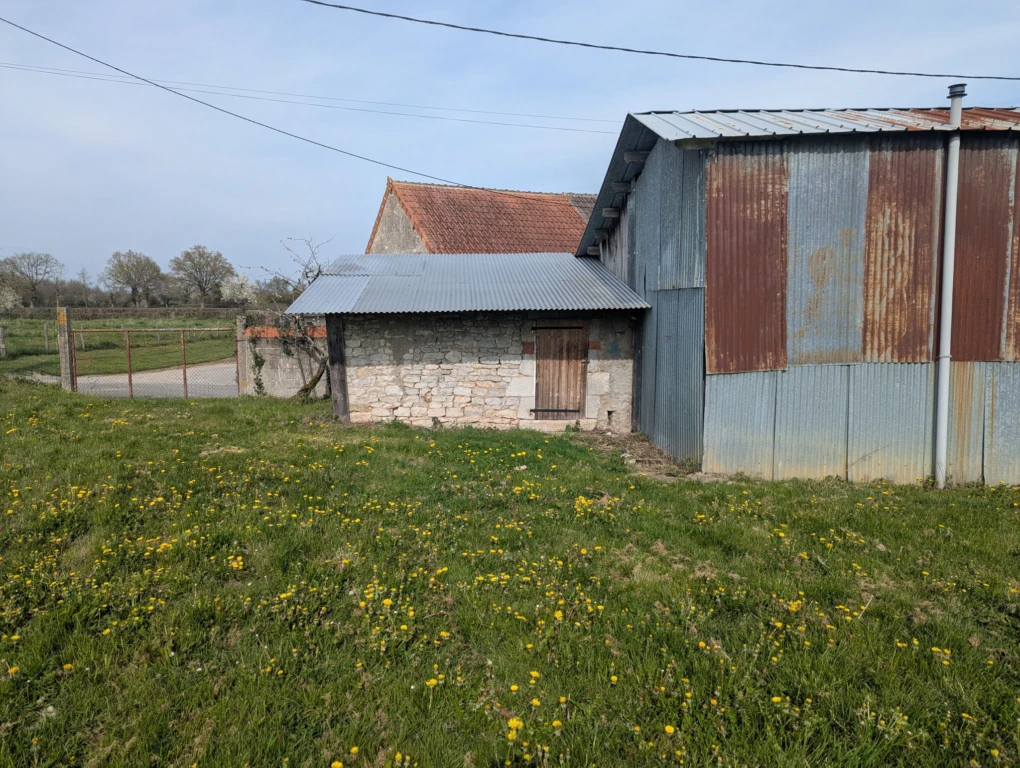 Photo 14