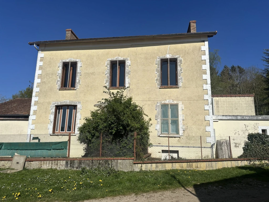 Photo 19