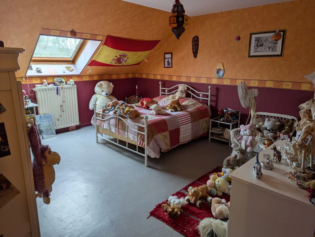 Photo 12
