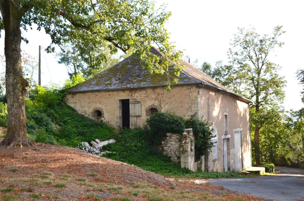 Photo 17