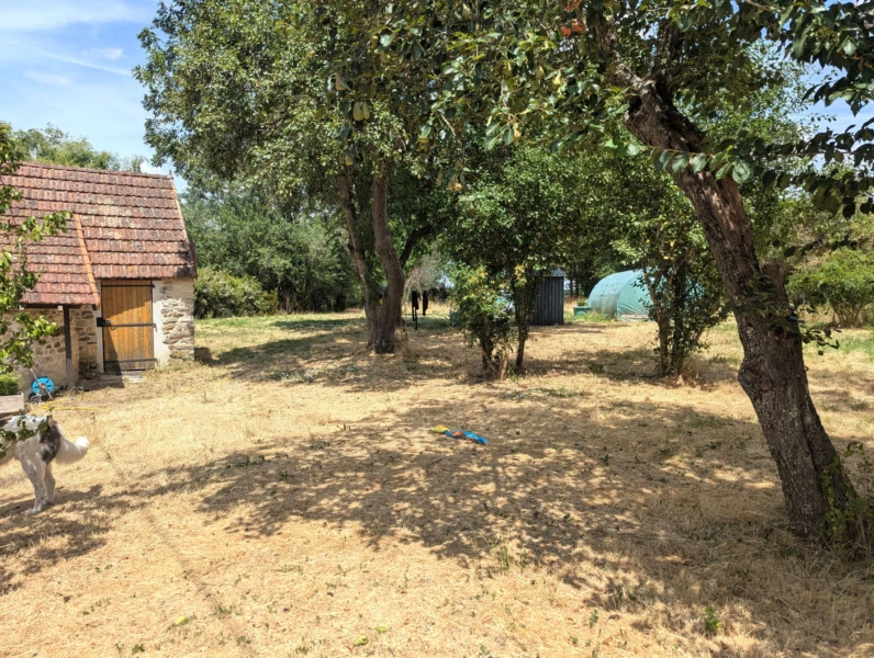 Photo 19