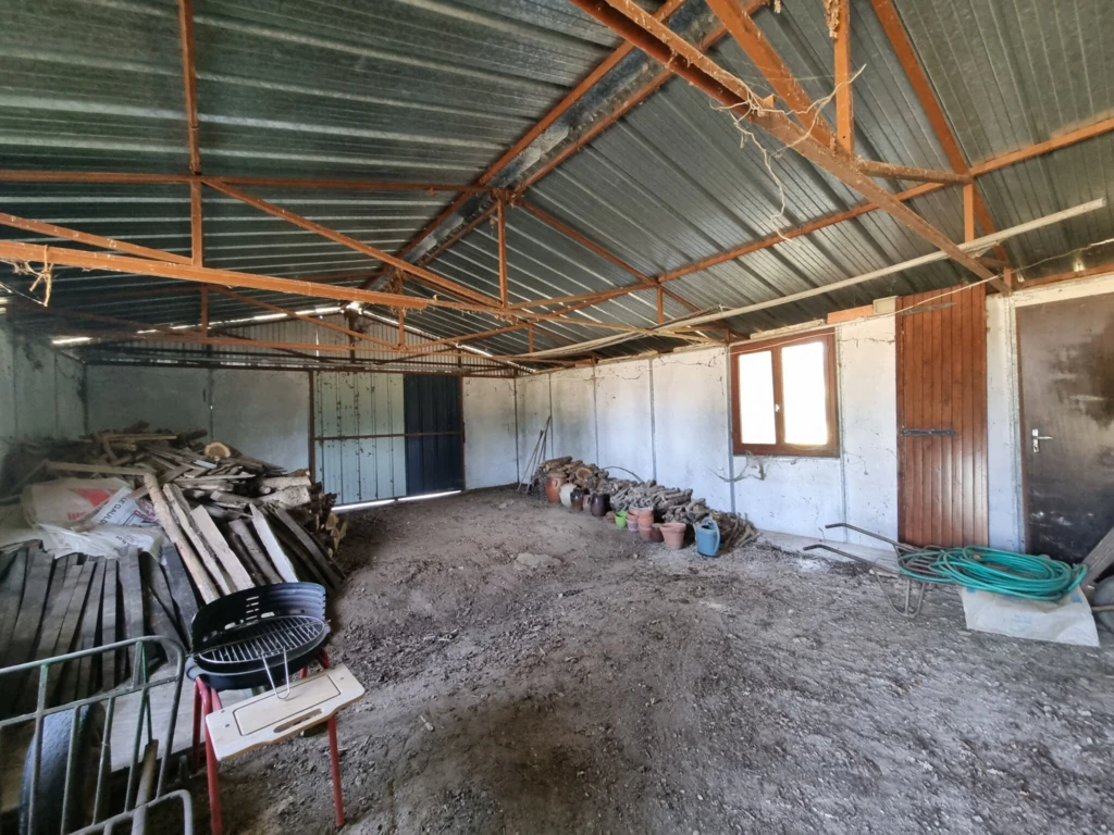 Photo 16