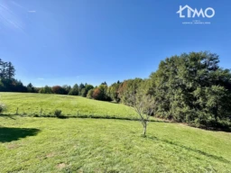 n°6