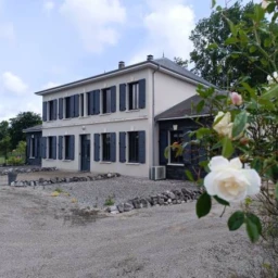 n°1