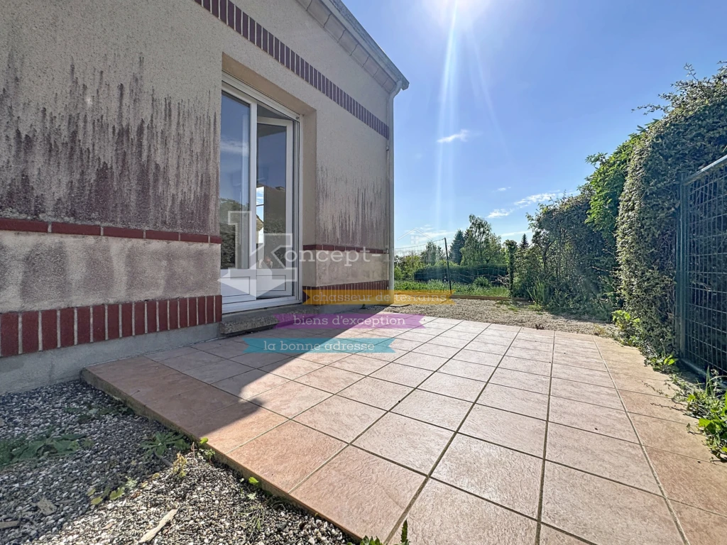 n°11