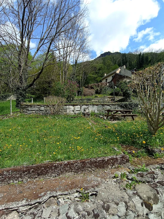 Espace vert commun