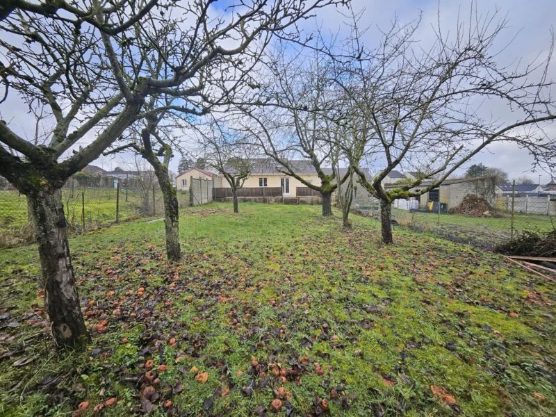 Vue depuis le fond du jardin