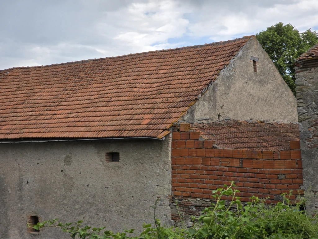 168693039_6