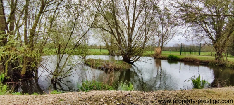 DIJON – MAISON DE MAITRE XIXème – 90 HA – ETANGS 7