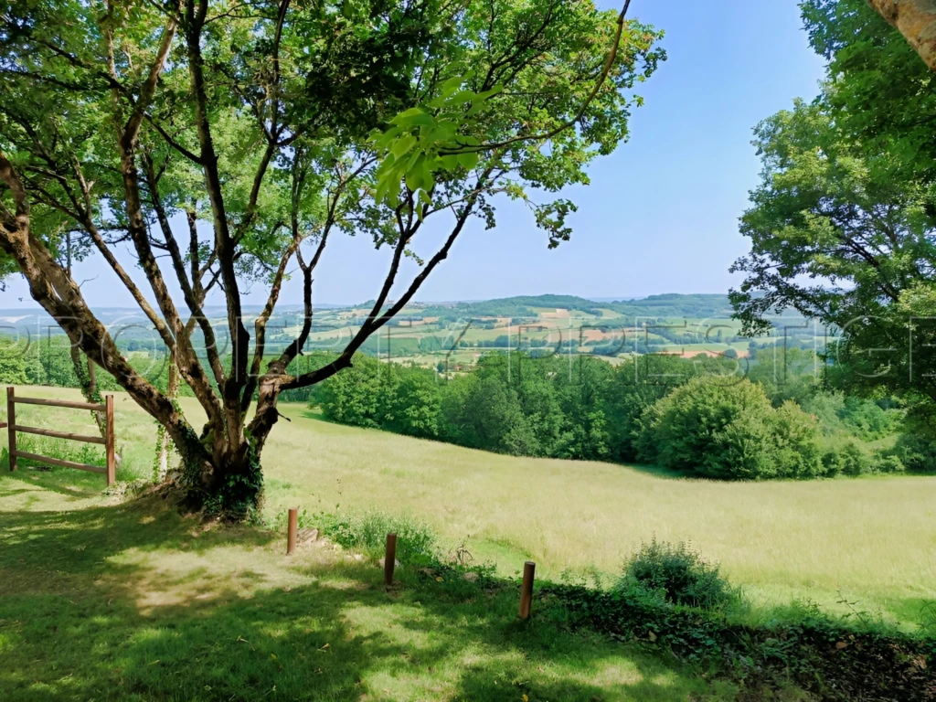 LOT ET GARONNE PROPRIETE XIXème EN PIERRES 3,6 HA 6