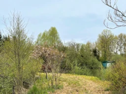 Propriété pêche et chasse sur 4.4 ha 3