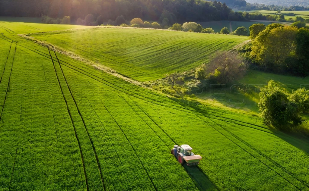 SUD-OUEST NOUVELLE AQUITAINE Exploitation 230 HA 4