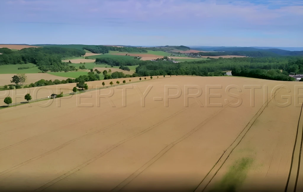 SUD-OUEST NOUVELLE AQUITAINE Exploitation 230 HA 5