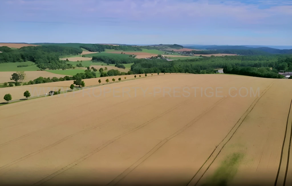 SUD-OUEST NOUVELLE AQUITAINE Exploitation 230 HA 8