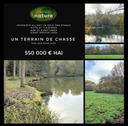 BOIS DE 23.5 HA SUD LAON 1