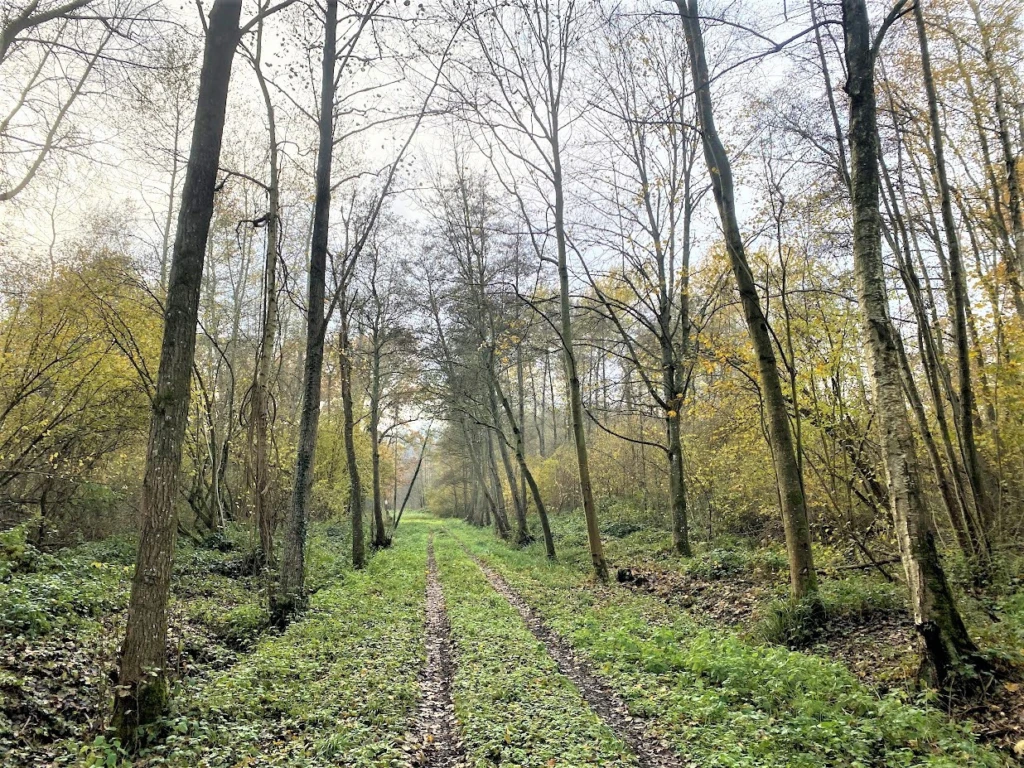 BOIS DE 23.5 HA SUD LAON 2