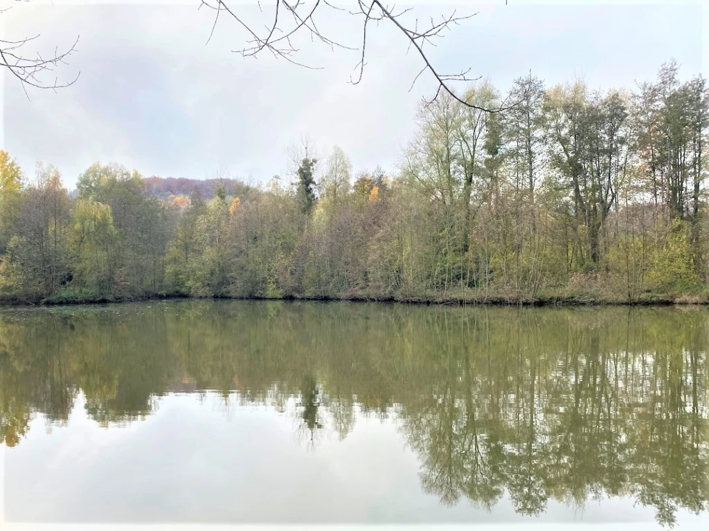 BOIS DE 23.5 HA SUD LAON 5