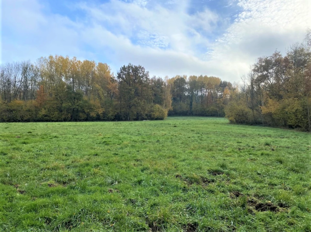 BOIS DE 23.5 HA SUD LAON 6