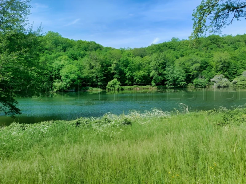 PERIGORD VERT PROPRIETE XIXème 88 HA ETANGS RIVIERE 2