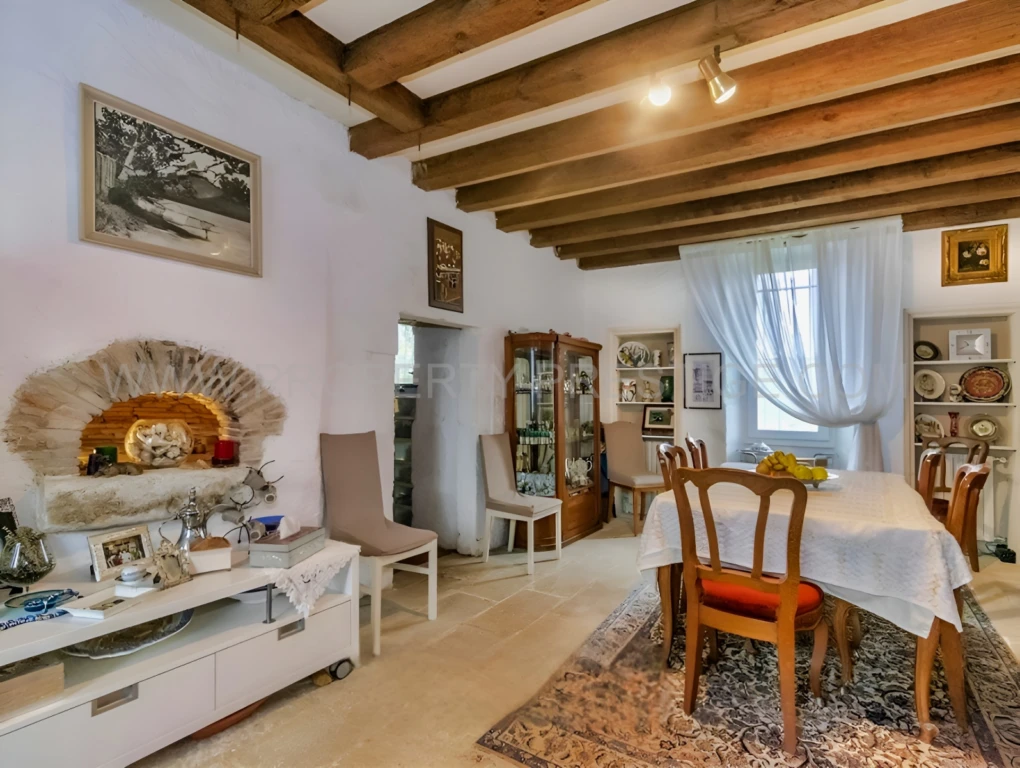 PERIGORD VERT PROPRIETE XIXème 88 HA ETANGS RIVIERE 3