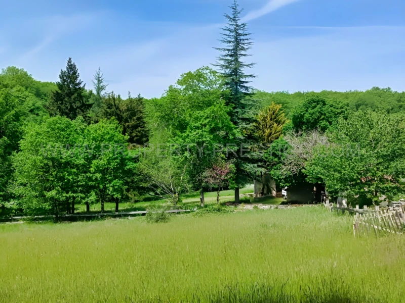 PERIGORD VERT PROPRIETE XIXème 88 HA ETANGS RIVIERE 9