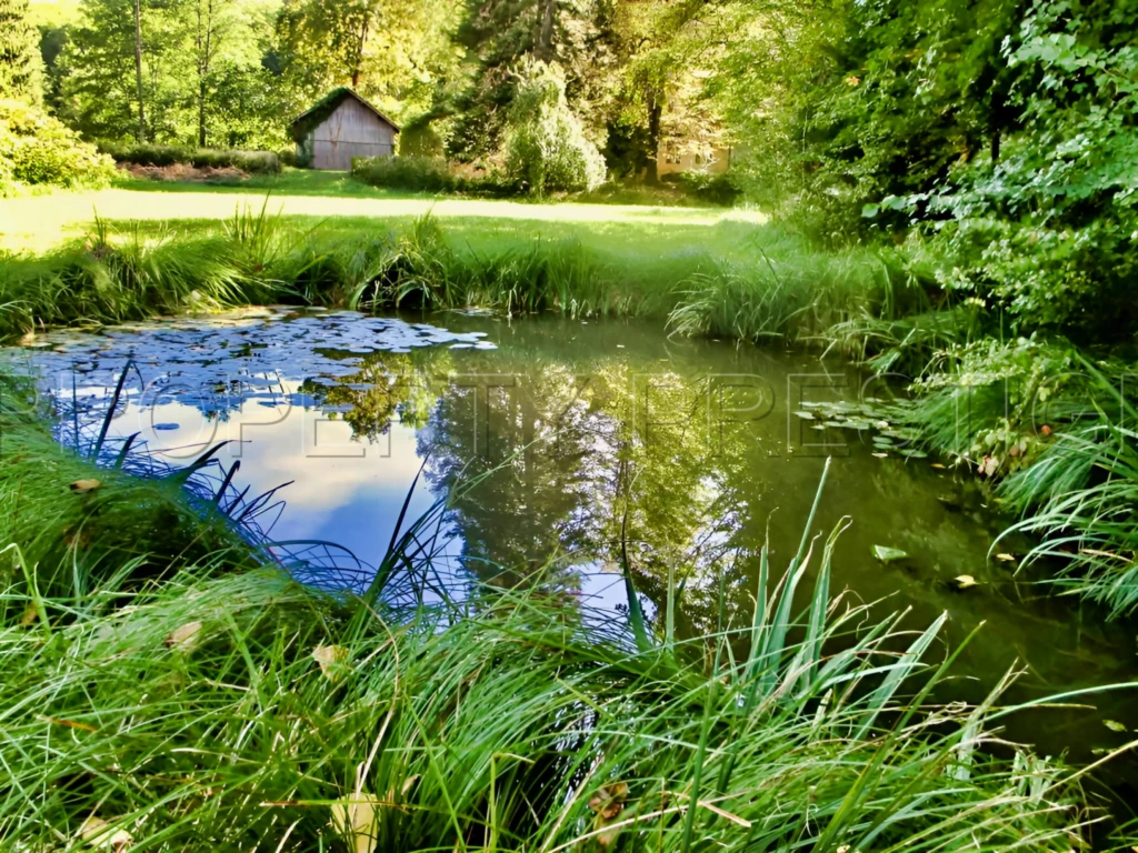 DORDOGNE LOGIS MOULIN A EAU 8 HA 1