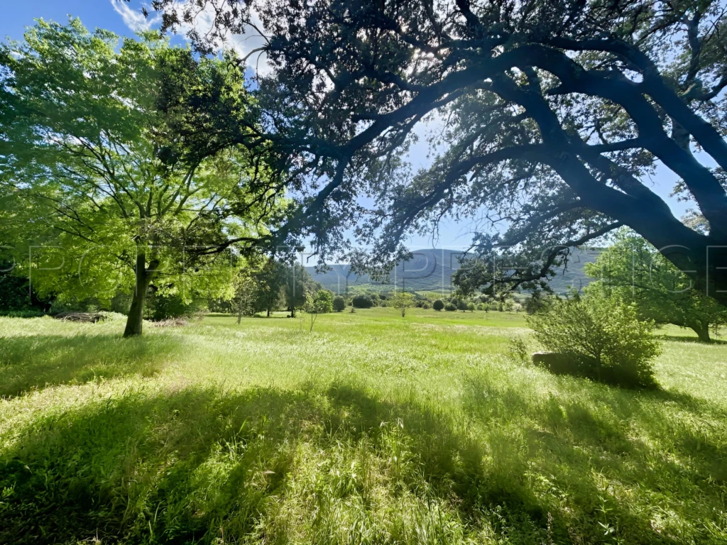 GARD DEMEURE PRIVEE CHATEAU XVIIème 17