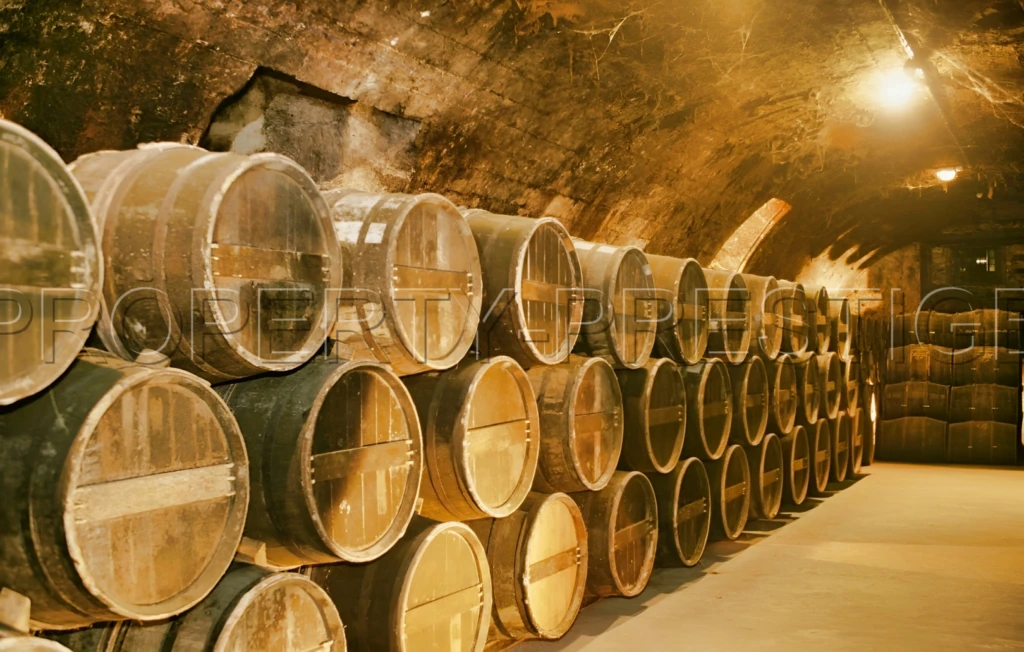 GERS EXPLOITATION AGRO-VITICOLE ARMAGNAC 130 HA 7