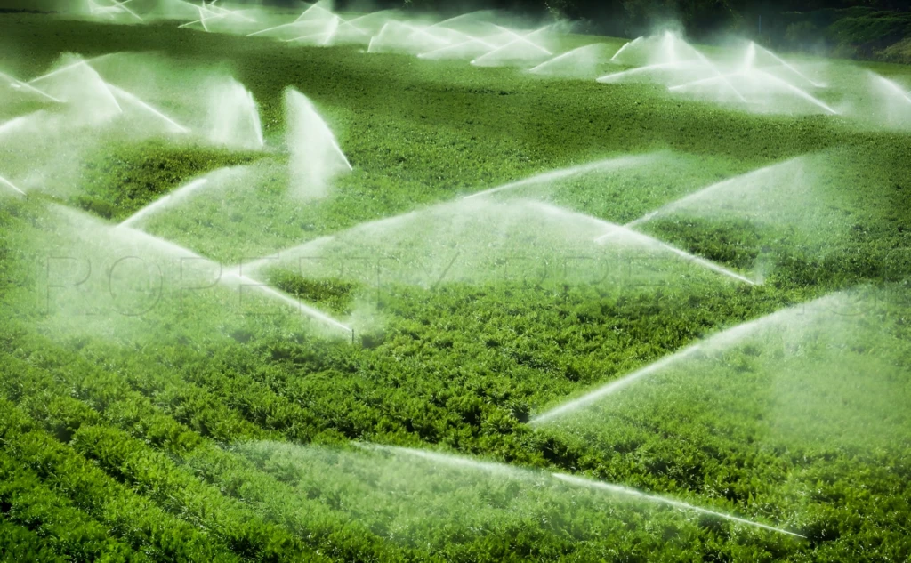GERS EXPLOITATION AGRICOLE 270 HA IRRIGUES LACS 2